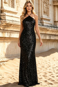 Sparkly Sequin Prom Dresses for Women 2026 Halter Neck Formal Dress for Wedding Guest (HW055)