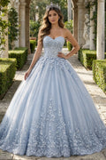 Strapless Quinceanera Dress 3D Floral Lace Applique Tulle Ball Gown With Lace-Up (HW349)